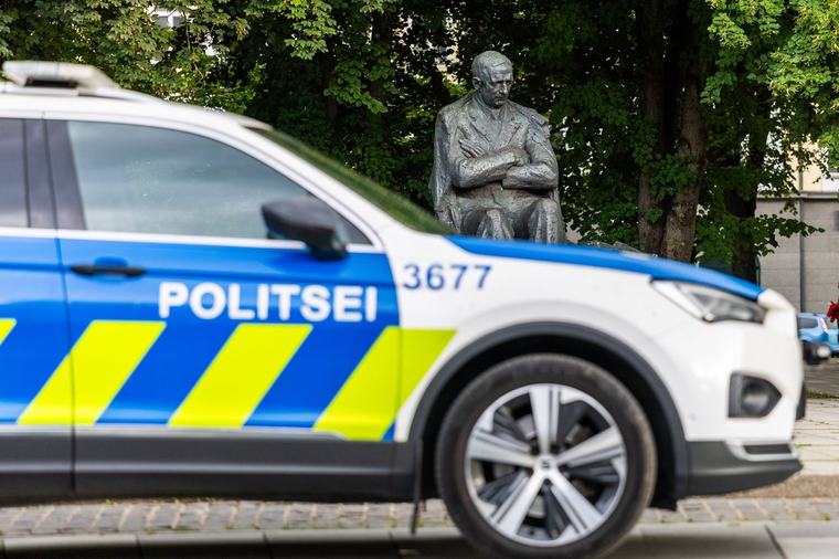 „Kõik langes saagiks.“ Politsei tuvastas Tallinnas laamendanud ja vargusi korraldanud noorukid