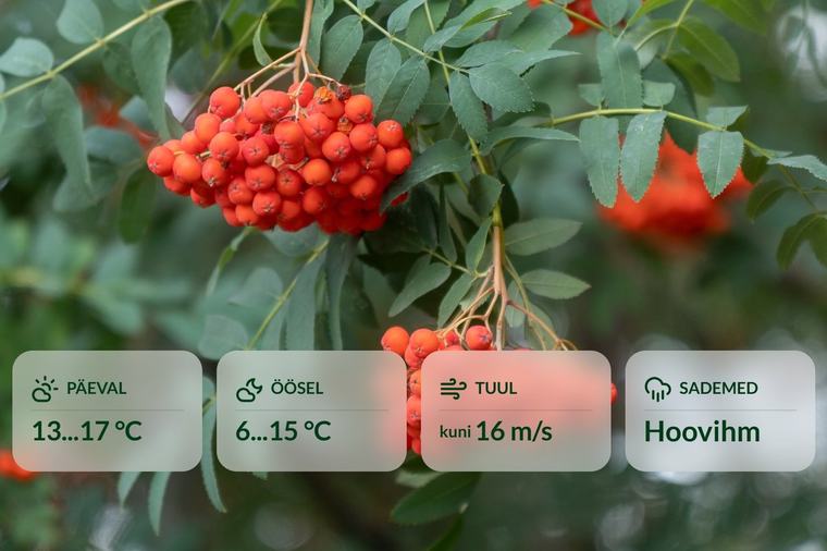 ILMATEADE | Pühapäeva hommikupoolik on sajune, õhtul näeme päikest
